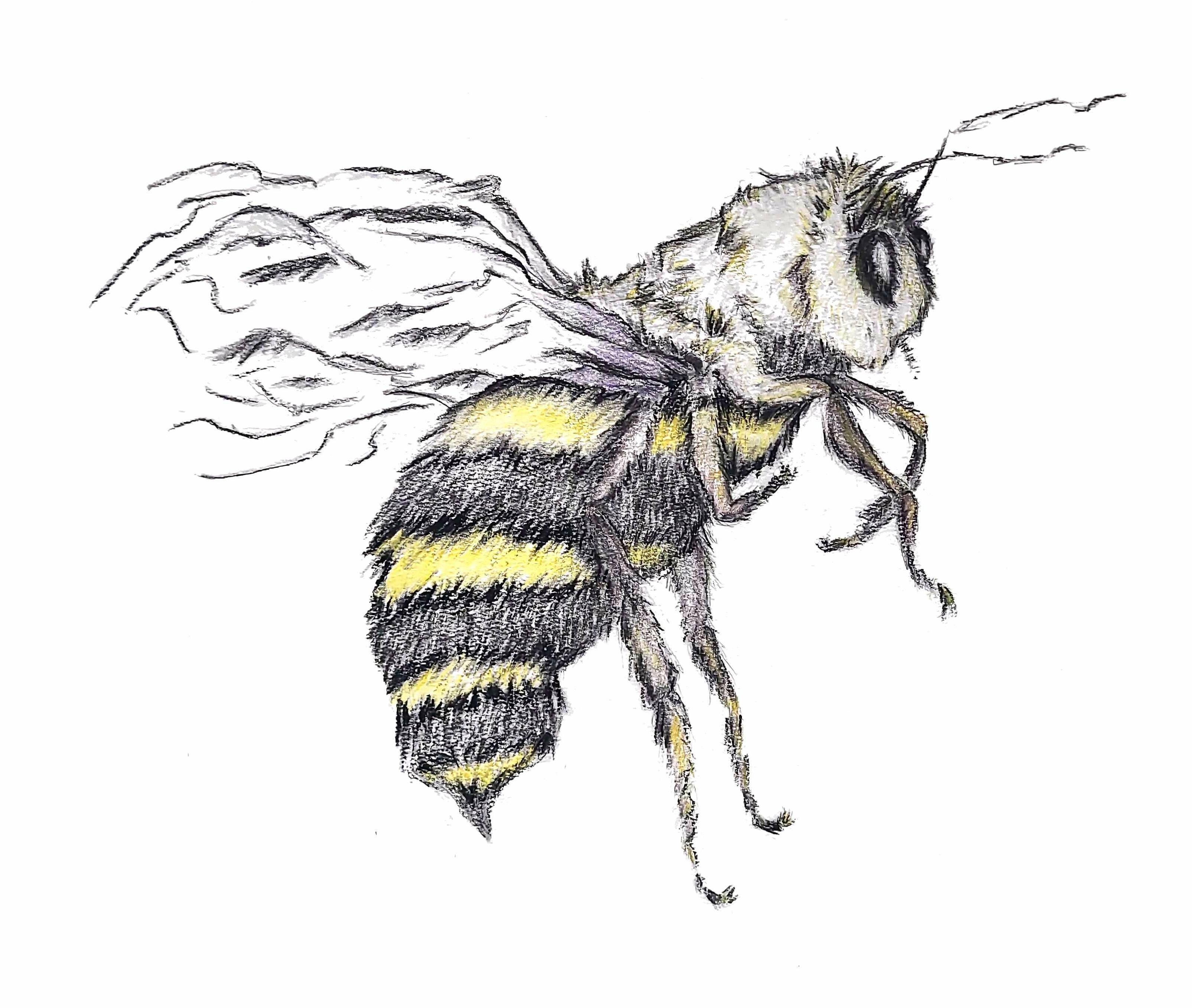 12x12 Bee Custom Canvas Print — Children's Story‑Driven Wall Art | The Magic of WonderWalls